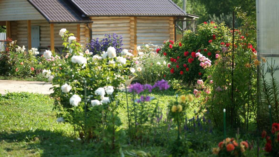 9 Suggestions for a Low-Upkeep Cottage Backyard