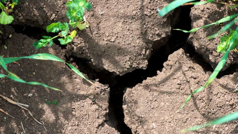 7 Steps to Enhance Laborious Soil, Quick