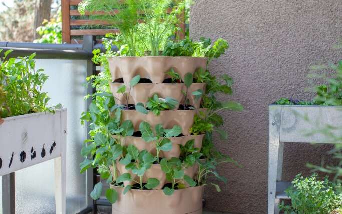 Intelligent Vertical Vegetable Backyard Concepts For Small Areas – 7 Methods To Save House