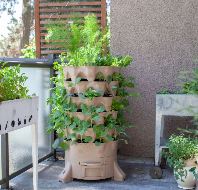 Intelligent Vertical Vegetable Backyard Concepts For Small Areas – 7 Methods To Save House