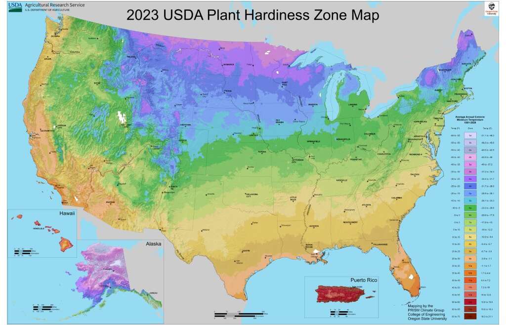 New USDA Plant Hardiness Zone Map: What Modified & What It Means For Gardeners