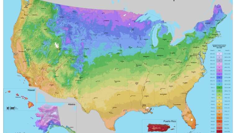 New USDA Plant Hardiness Zone Map: What Modified & What It Means For Gardeners