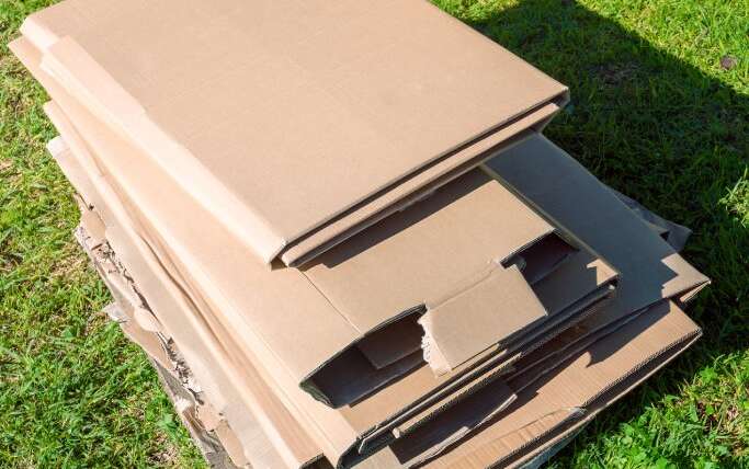 Can You Kill Grass With Cardboard?