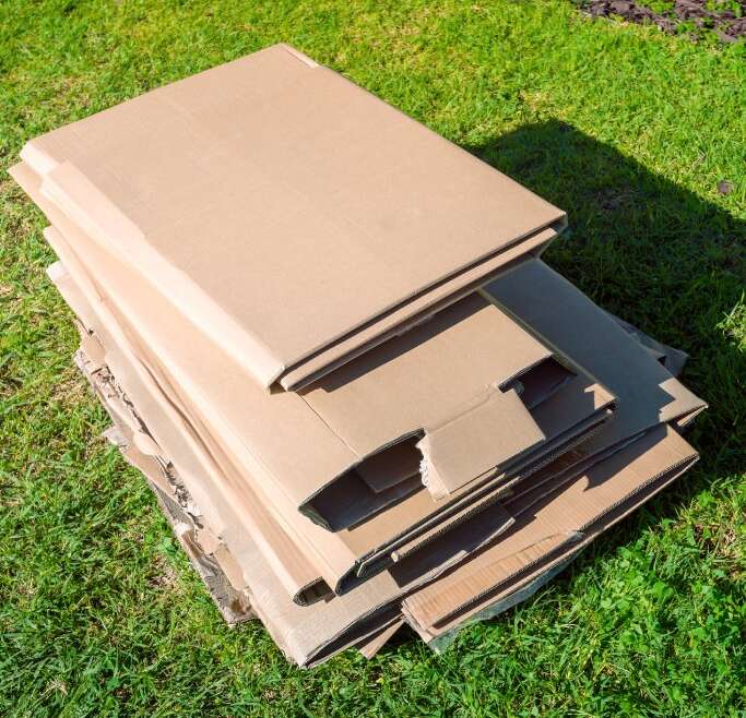 Can You Kill Grass With Cardboard?