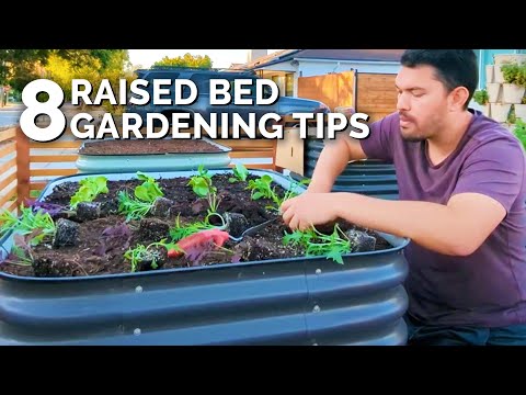 The place to Put Raised Beds in Your Backyard: 7 Location Suggestions