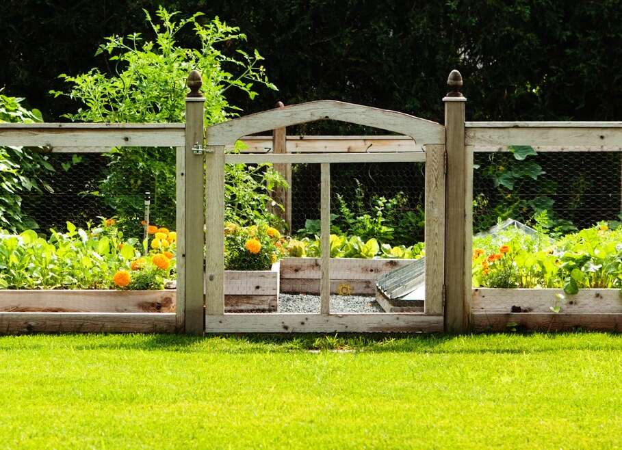 9 Easy Vegetable Backyard Fence Concepts To Shield Your Produce