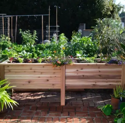 9 Advantages of Gardening in Elevated Planters