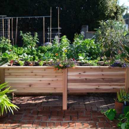 9 Advantages of Gardening in Elevated Planters