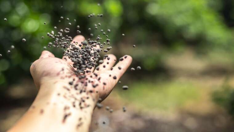 Do Artificial Fertilizers Hurt the Soil?