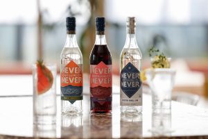 Asahi Drinks acquires By no means By no means gin