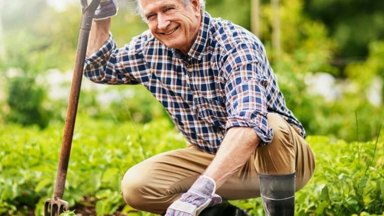 Gardening Makes You Reside Longer, In accordance To Analysis – How To Reap The Advantages