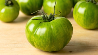 The right way to Plant, Develop, and Look after ‘Inexperienced Zebra’ Tomatoes