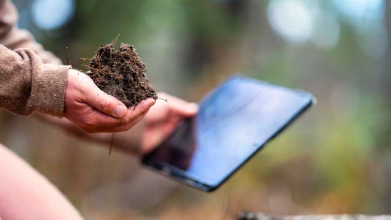 Understanding Your Soil Check Outcomes: What They Imply and What to Do Subsequent