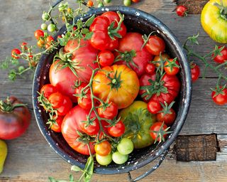 How To Make Tomato Crops Develop Sooner: 7 Ideas For An Early Bounty
