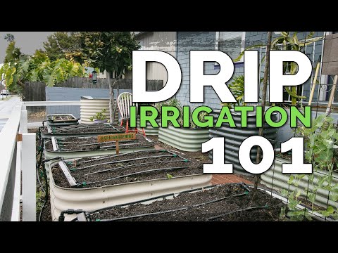 Tips on how to Set Up Irrigation for Raised Backyard Beds