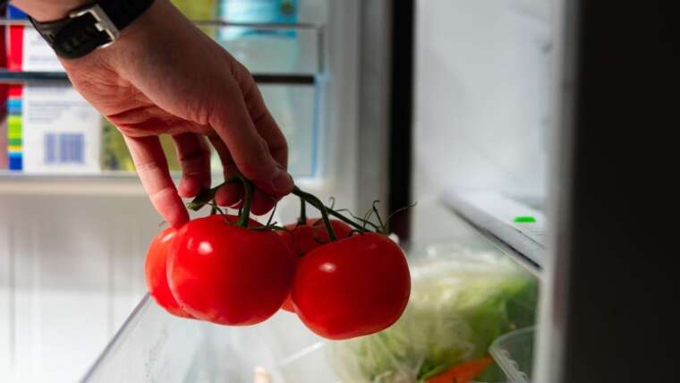 Ought to You Refrigerate Tomatoes?