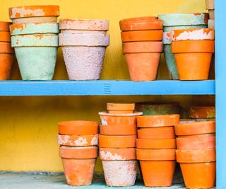 Container Gardening Made Easy: All You Want To Know For Profitable Containers
