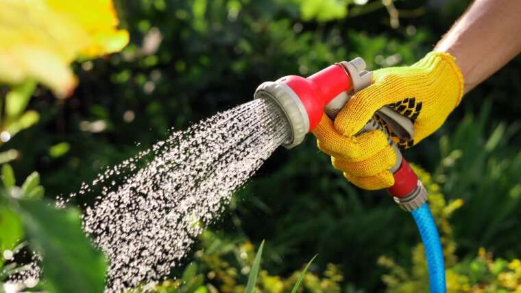 7 Dangerous Gardening Habits You Ought to Depart Behind