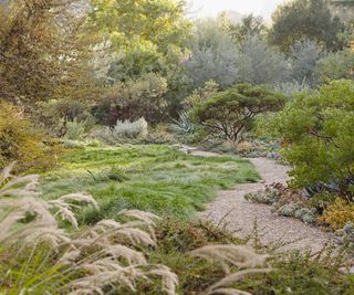 eight Cheap Drought-Tolerant Landscaping Concepts To Save You Water And Cash