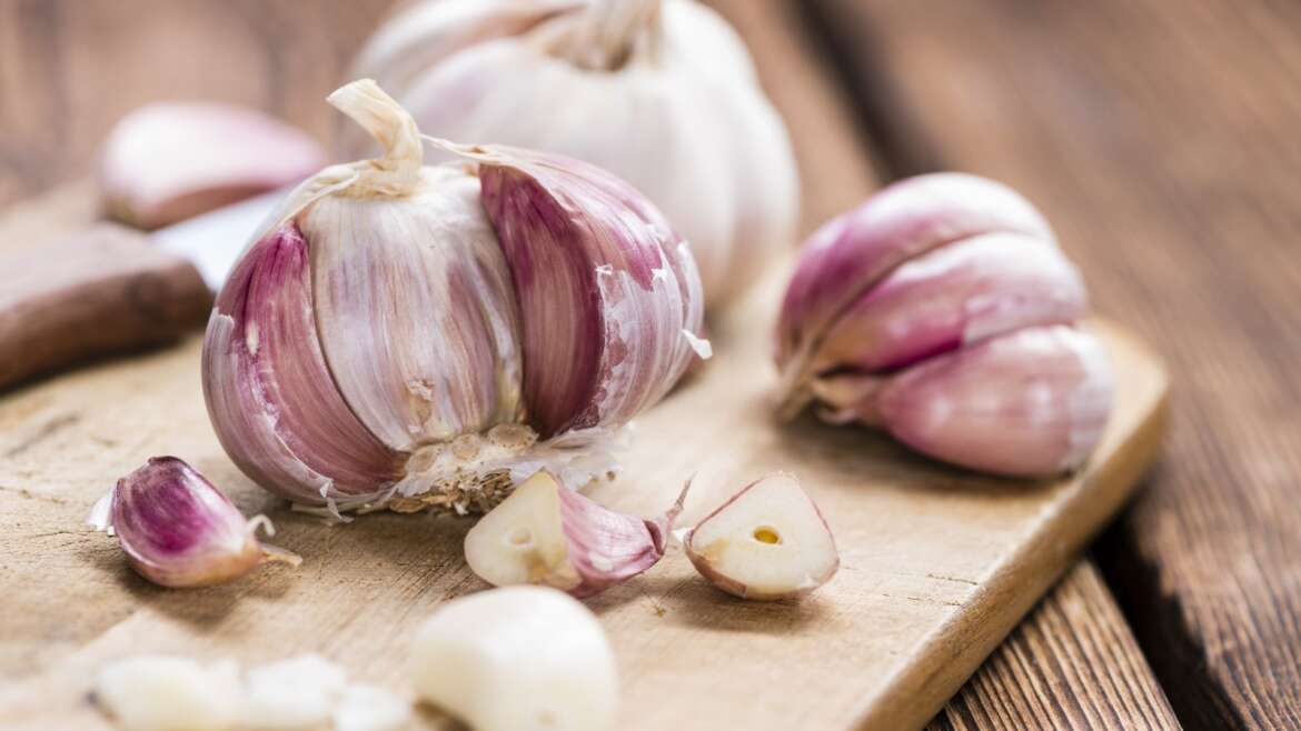 How A lot Garlic Does One Clove Produce within the Backyard?