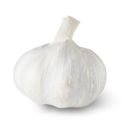 How one can Plant, Develop, and Take care of Silver White Softneck Garlic