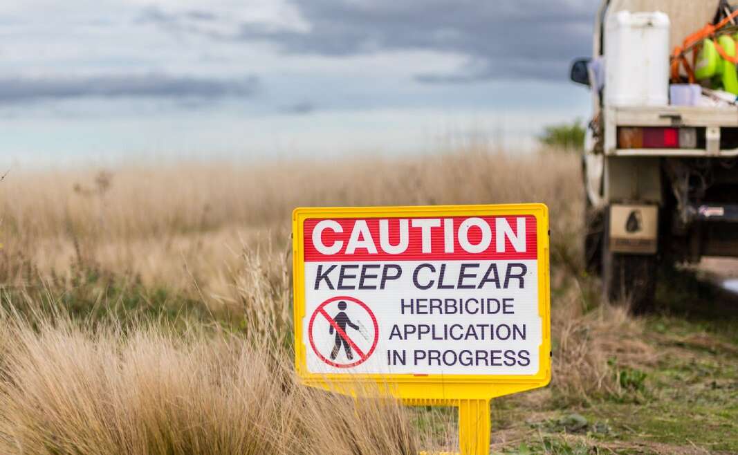 Herbicide Carryover In Compost – Can Herbicide Keep In Hay?