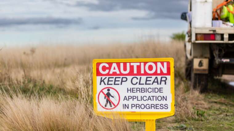 Herbicide Carryover In Compost – Can Herbicide Keep In Hay?