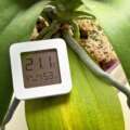 How A lot Humidity Do Orchids Want To Thrive? –Plus Suggestions To Increase Moisture Ranges