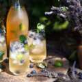 Develop Your Personal Cocktail Components: Plant A Cocktail Backyard For Deliciously Contemporary Drinks