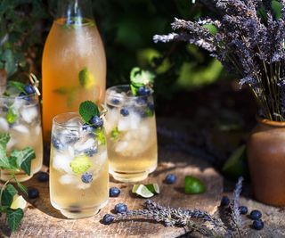 Develop Your Personal Cocktail Components: Plant A Cocktail Backyard For Deliciously Contemporary Drinks