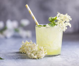 10 Elegant, Edible Flowers For Cocktails