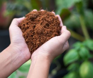 DIY Potting Combine Masterclass: Make Your Personal Peat-Free Blends For Crops