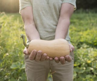 When Are Fruits & Veggies Prepared For Harvesting? How To Inform