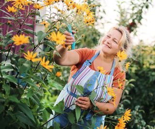 Important Late Summer season Gardening Information: What You Want To Do Earlier than Fall Arrives