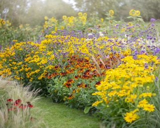 Planting Perennials In Fall: How To Guarantee New Shrubs And Flowers Thrive