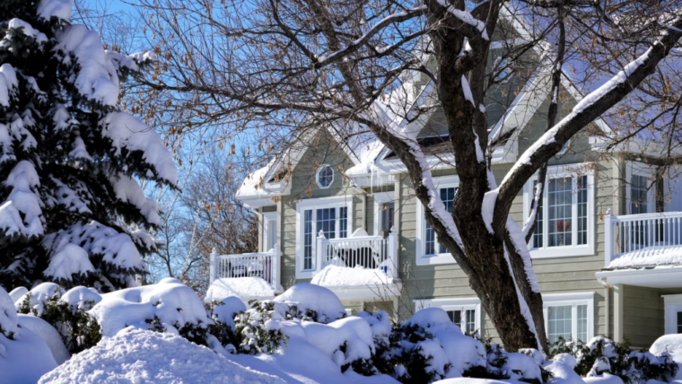 Making ready Your Residence for Seasonal Vitality Modifications