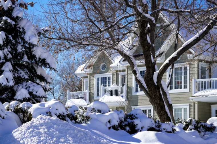 Making ready Your Residence for Seasonal Vitality Modifications