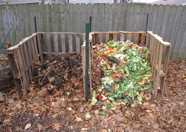 An Autumn Information to Composting Leaves & Backyard Waste