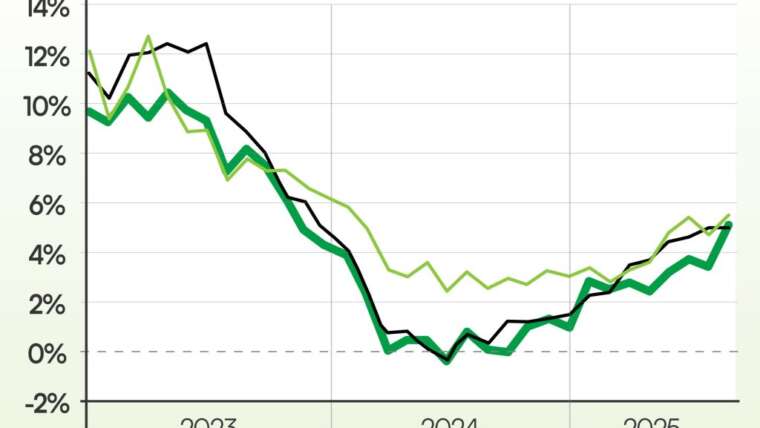 Foodstuffs says harsh winter despatched some veg costs larger