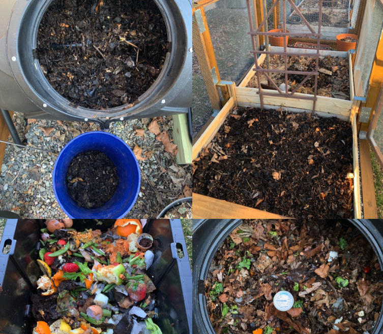 Composting vs Inexperienced Waste Removing: Which Is Higher?
