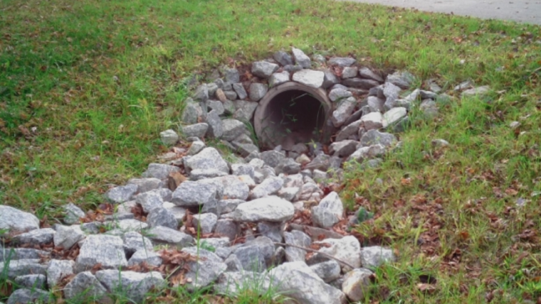 Why Waterways Slowly Fill In (And What Can Be Completed Earlier than It Turns into a Main Drawback)