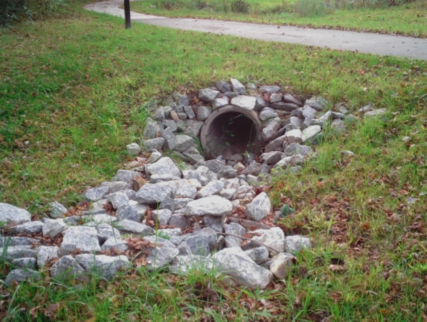 Why Waterways Slowly Fill In (And What Can Be Completed Earlier than It Turns into a Main Drawback)