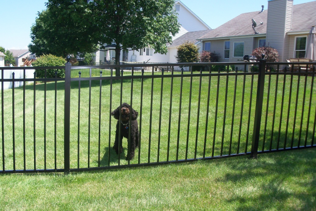 Constructing Robust Fences: The Important Significance of High quality Fence Posts