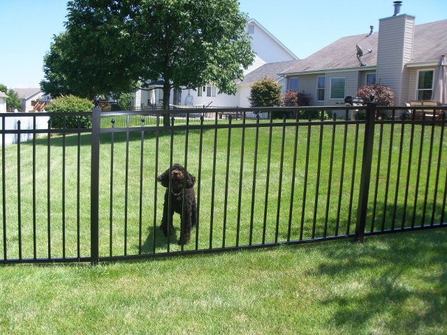 Constructing Robust Fences: The Important Significance of High quality Fence Posts